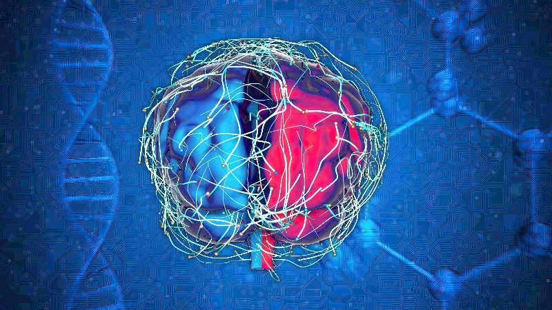 Decoding Organ Aging: Plasma Proteome Insights for Health and Disease