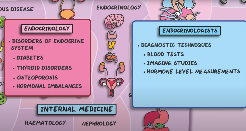 The Comprehensive Map of Medicine