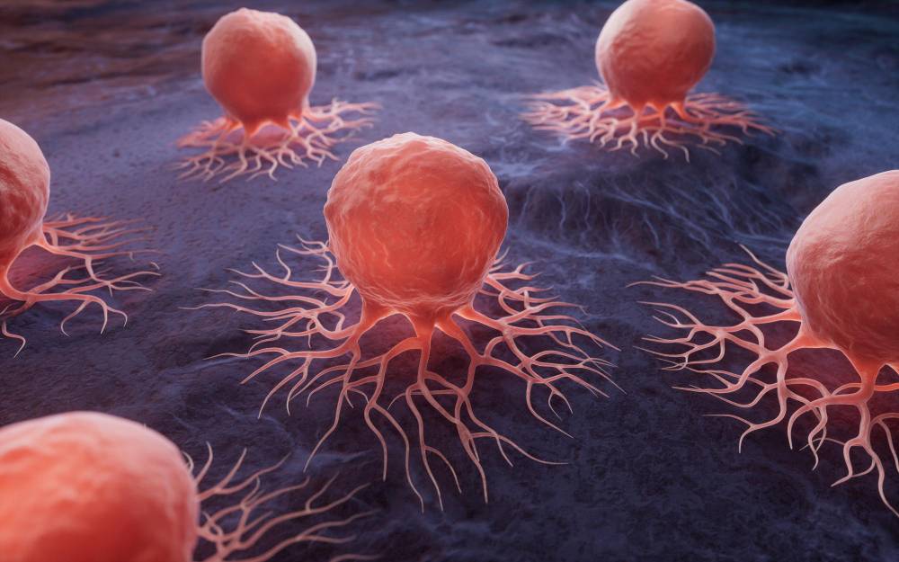 A Surprising Revelation: Cancer Cells' Ability to Build "Electrical Grids" for Tumor Spread
