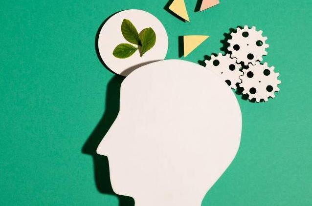 How stress shapes cancer’s course
