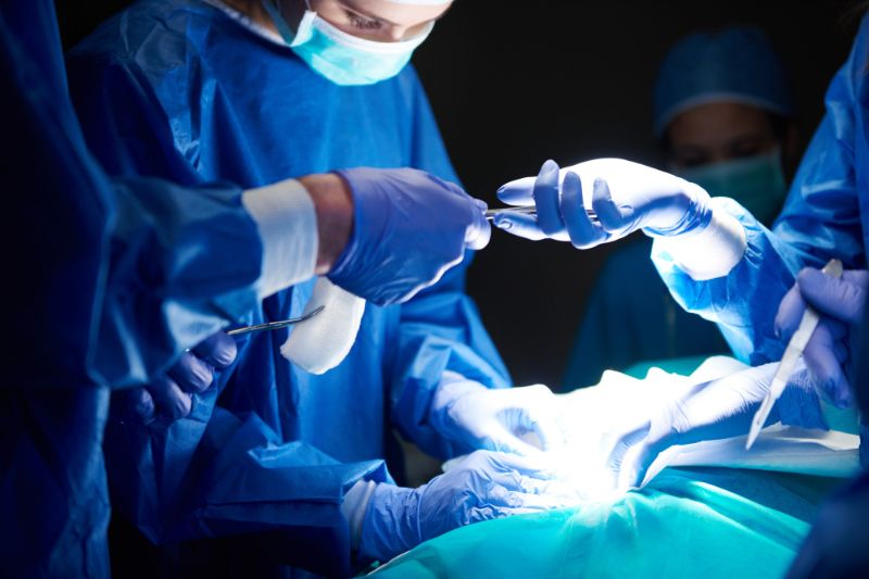 Nature: Chinese team successfully transplants gene-edited pig livers into humans