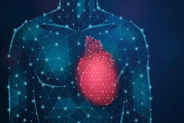 Meta-prediction of Coronary Artery Disease Risk: A New Era of Personalized Prevention