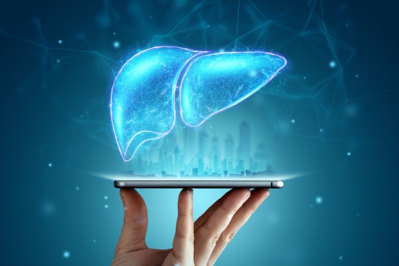 Nature:Pluripotent stem cells build liver-like organs to help treat liver disease